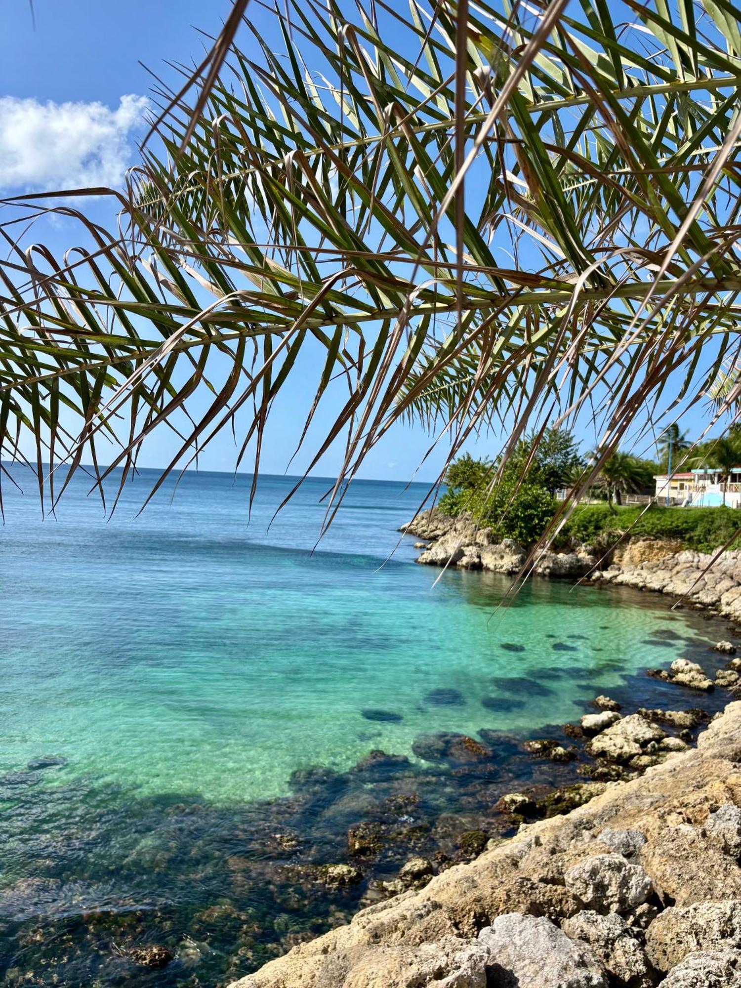 Gite Tournesol - A 2 Min De La Plage Et Du Bourg Anse-Bertrand Exterior photo